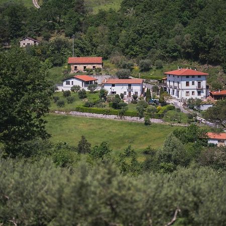 Agriturismo La Valle Degli Ulivi Trecchina Exterior foto