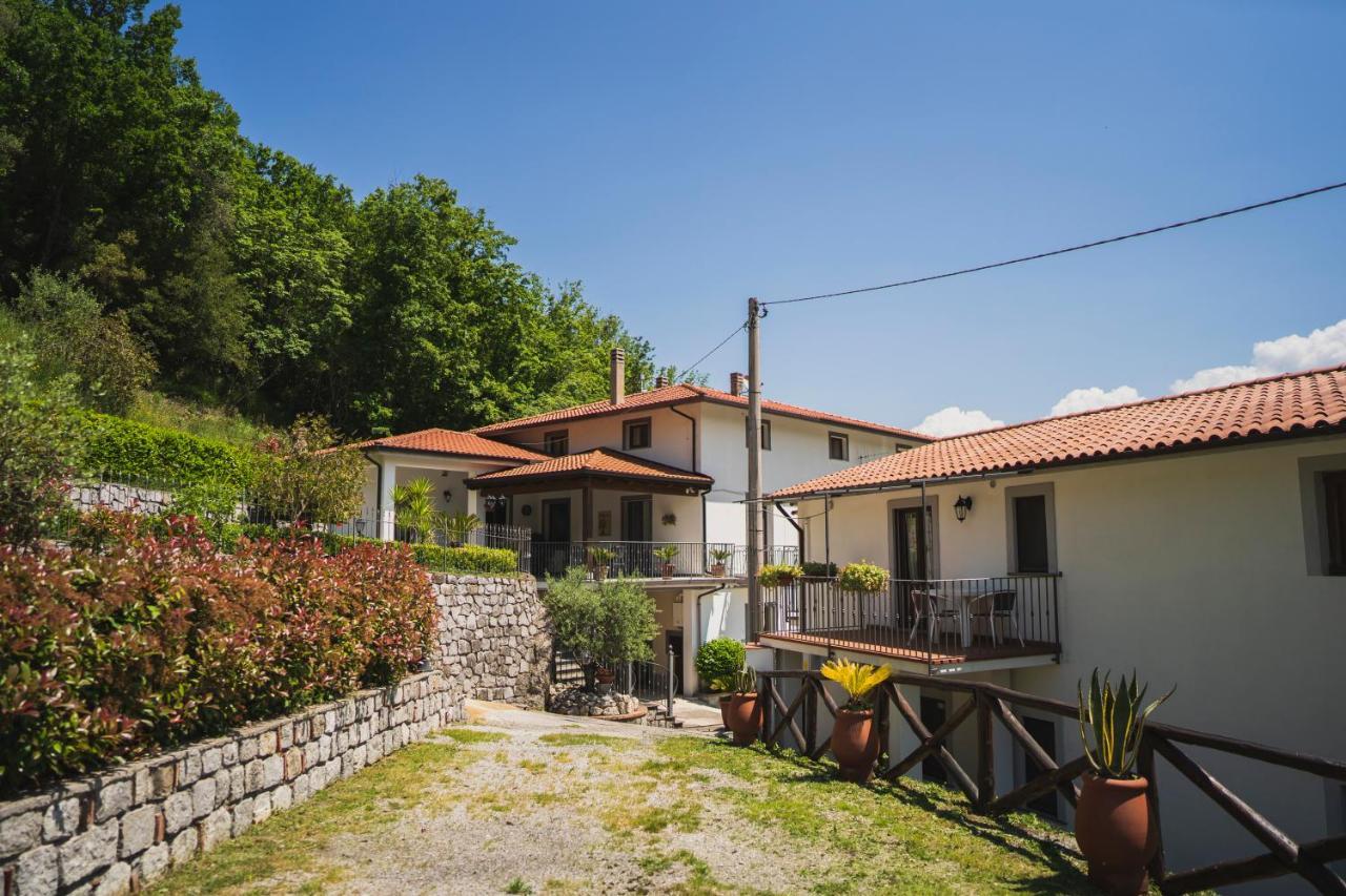 Agriturismo La Valle Degli Ulivi Trecchina Exterior foto