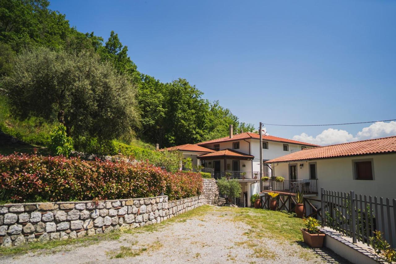 Agriturismo La Valle Degli Ulivi Trecchina Exterior foto