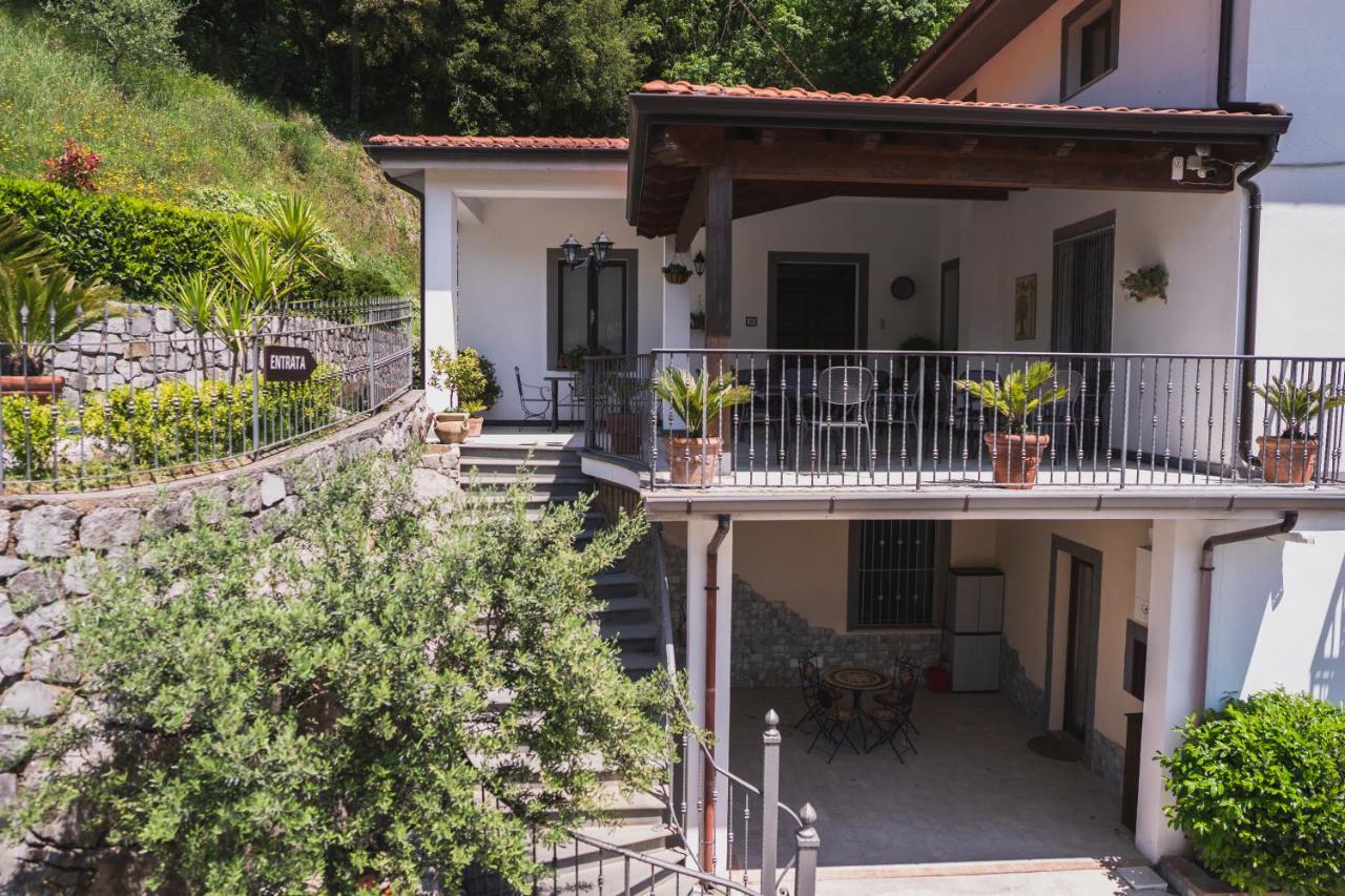 Agriturismo La Valle Degli Ulivi Trecchina Exterior foto