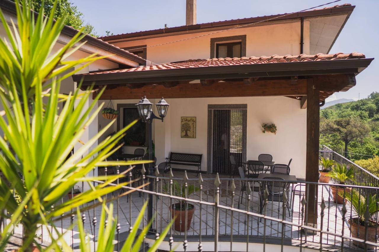 Agriturismo La Valle Degli Ulivi Trecchina Exterior foto