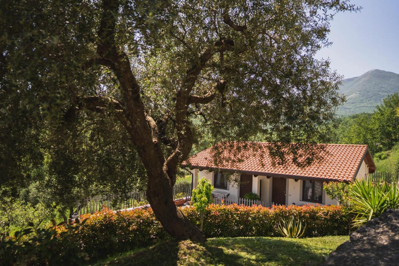 Agriturismo La Valle Degli Ulivi Trecchina Exterior foto