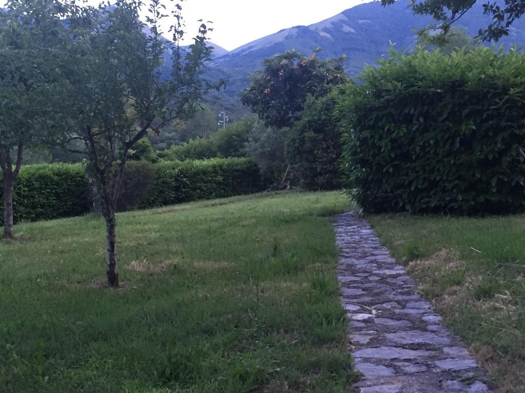 Agriturismo La Valle Degli Ulivi Trecchina Exterior foto