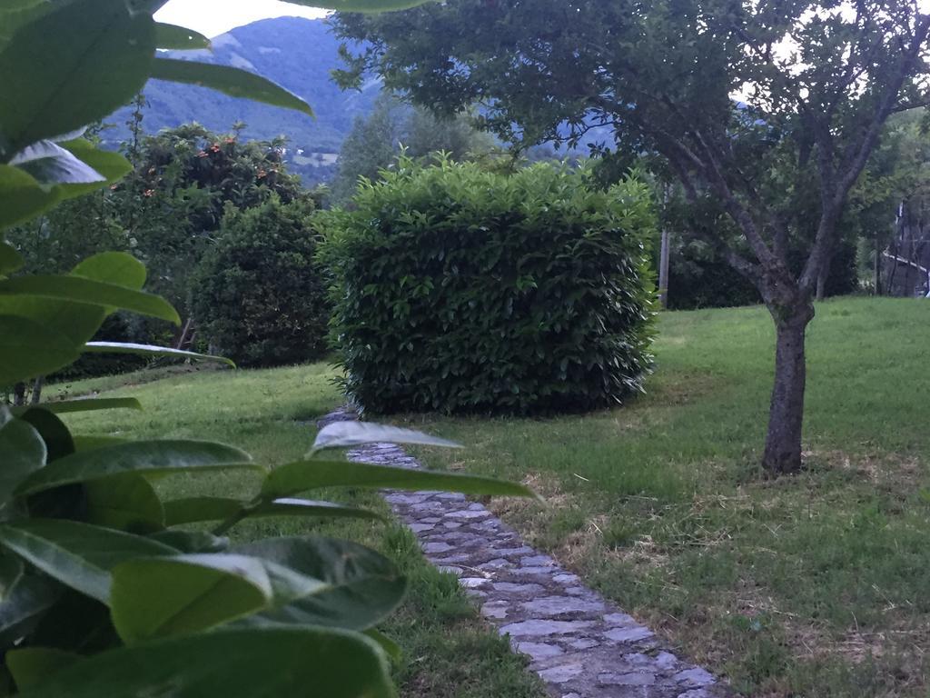 Agriturismo La Valle Degli Ulivi Trecchina Exterior foto