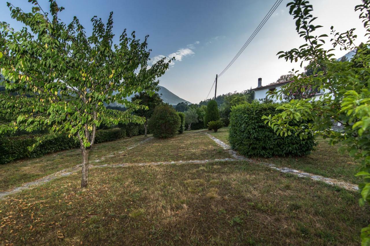 Agriturismo La Valle Degli Ulivi Trecchina Exterior foto