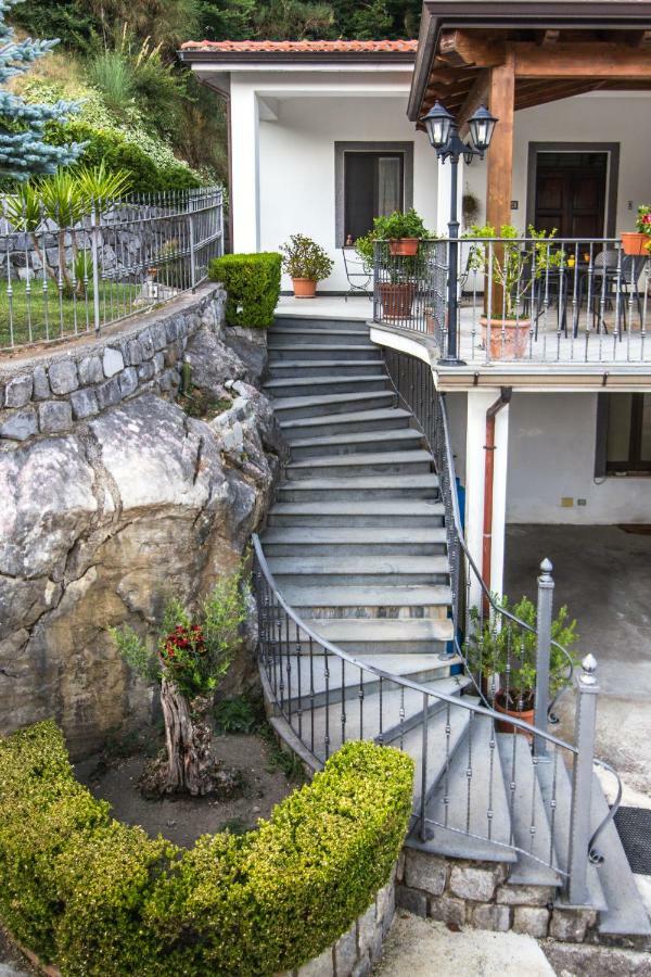 Agriturismo La Valle Degli Ulivi Trecchina Exterior foto