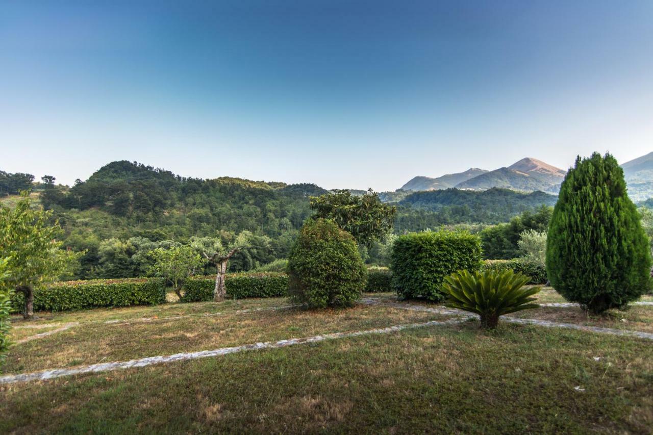 Agriturismo La Valle Degli Ulivi Trecchina Exterior foto